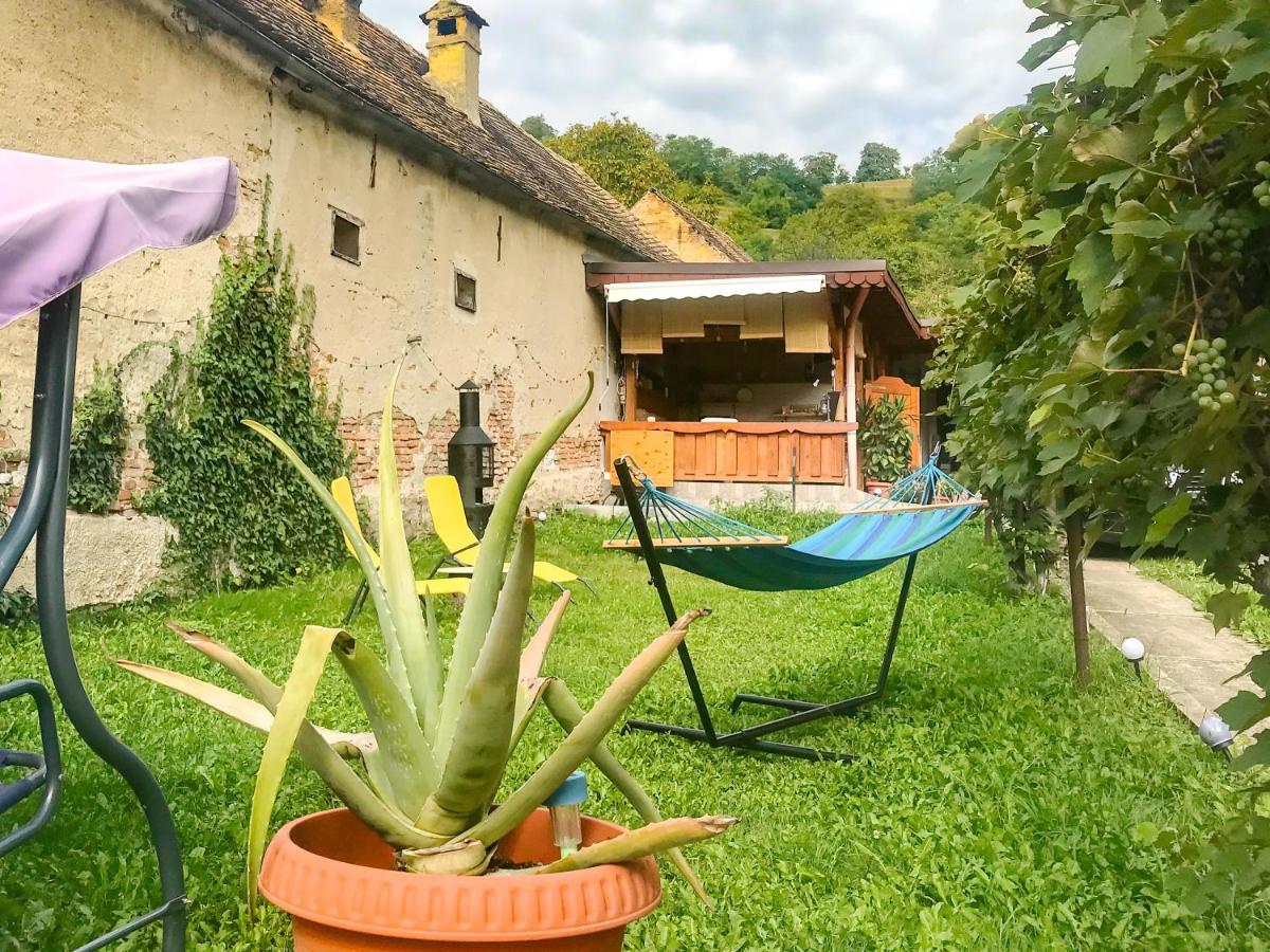 Transylvania Escape Apartment Richisu Екстериор снимка
