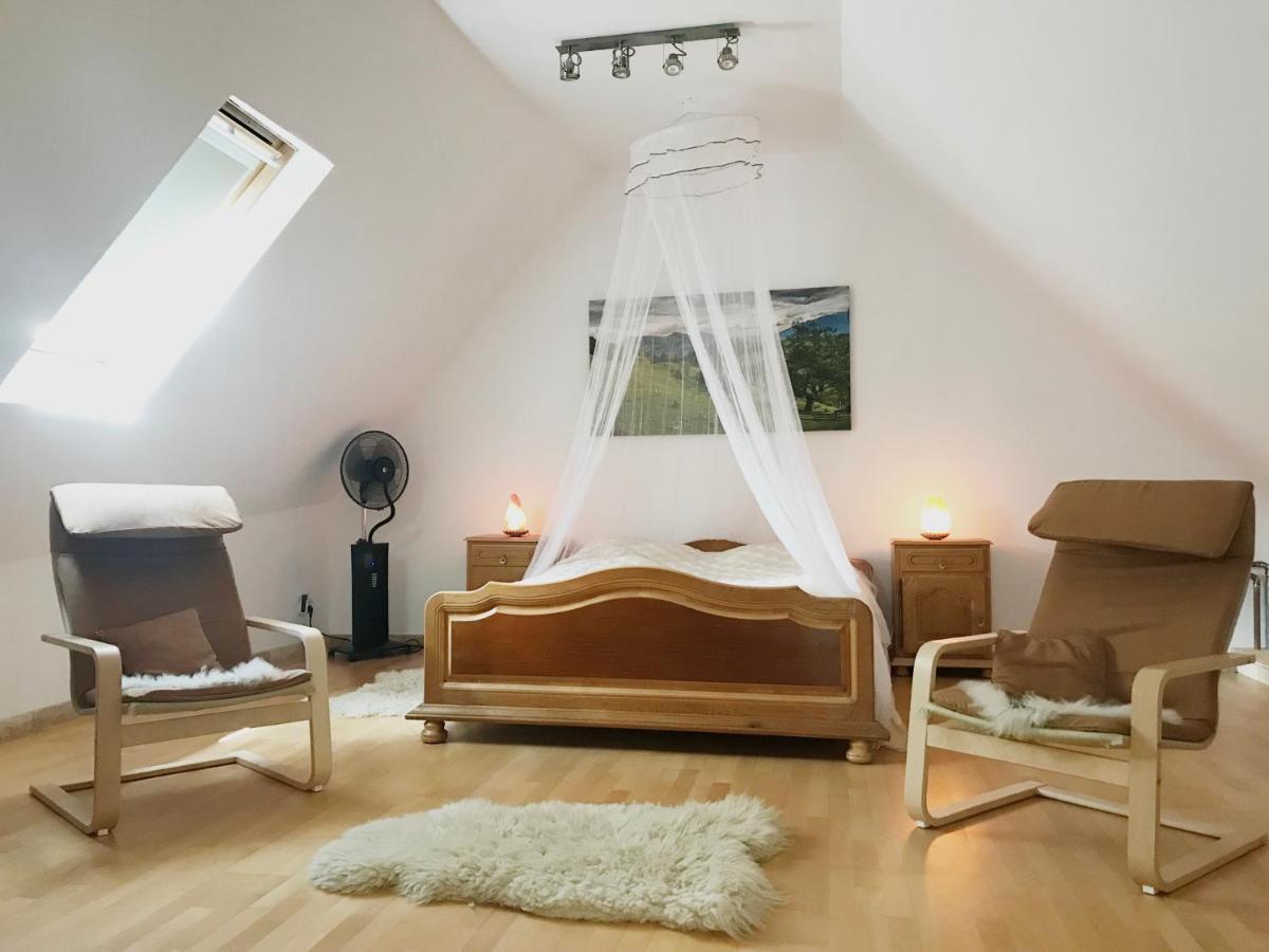 Transylvania Escape Apartment Richisu Екстериор снимка