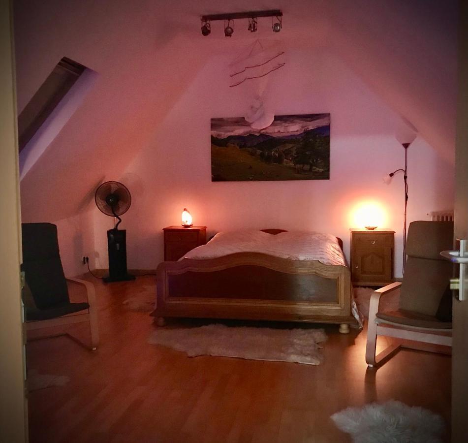 Transylvania Escape Apartment Richisu Екстериор снимка